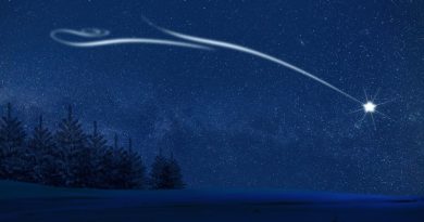 Přejeme Vám radostné Vánoce a&nbsp;šťastný nový rok